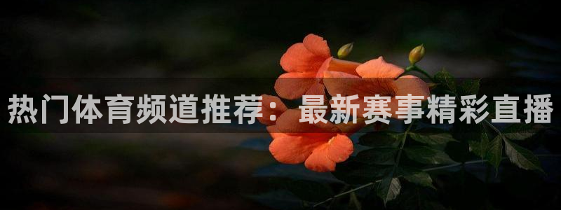 热门体育频道推荐：最新赛事精彩直播