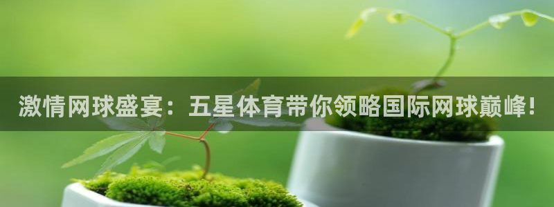 激情网球盛宴：五星体育带你领略国际网球巅峰!