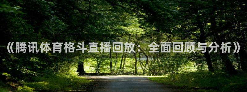 《腾讯体育格斗直播回放：全面回顾与分析》