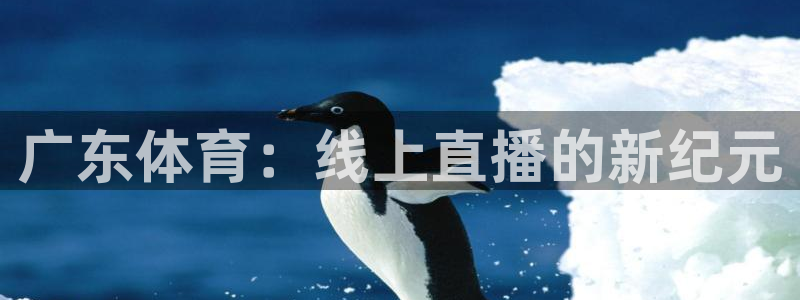 广东体育：线上直播的新纪元