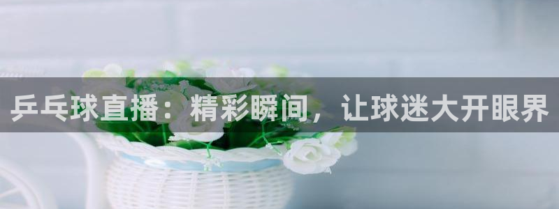 乒乓球直播：精彩瞬间，让球迷大开眼界
