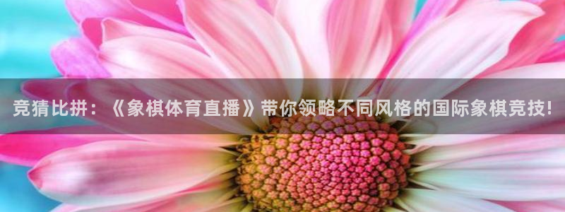 竞猜比拼：《象棋体育直播》带你领略不同风格的国际象棋竞技!