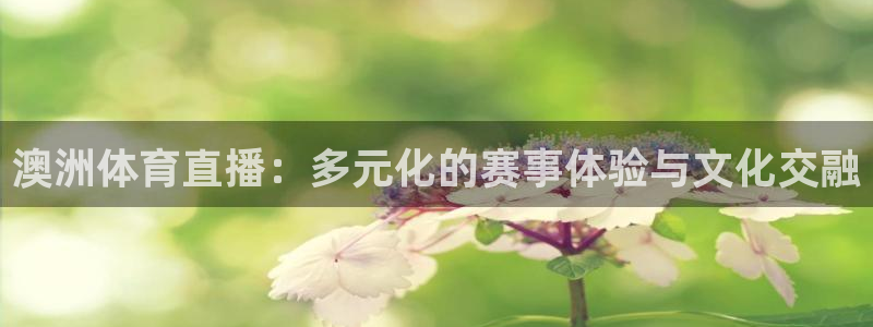 澳洲体育直播：多元化的赛事体验与文化交融