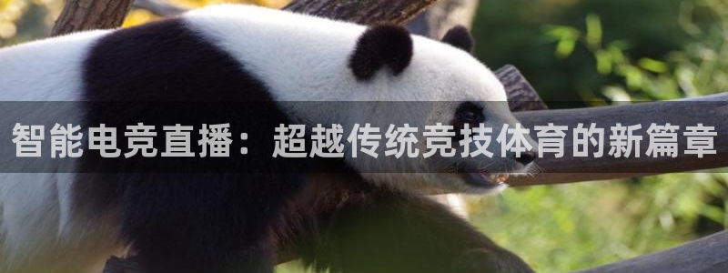 智能电竞直播：超越传统竞技体育的新篇章