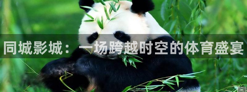 同城影城：一场跨越时空的体育盛宴